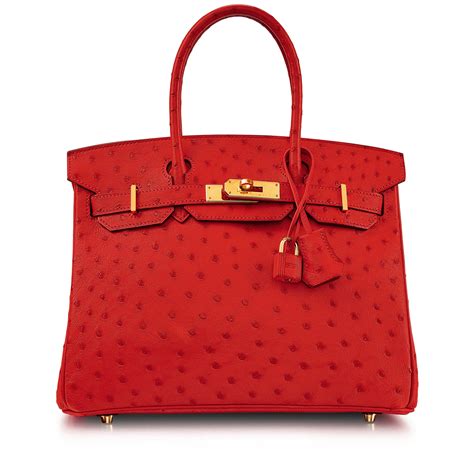 hermes rouge vif ostrich birkin|Hermes Birkin 30 price.